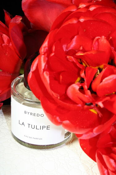 La Tulipe